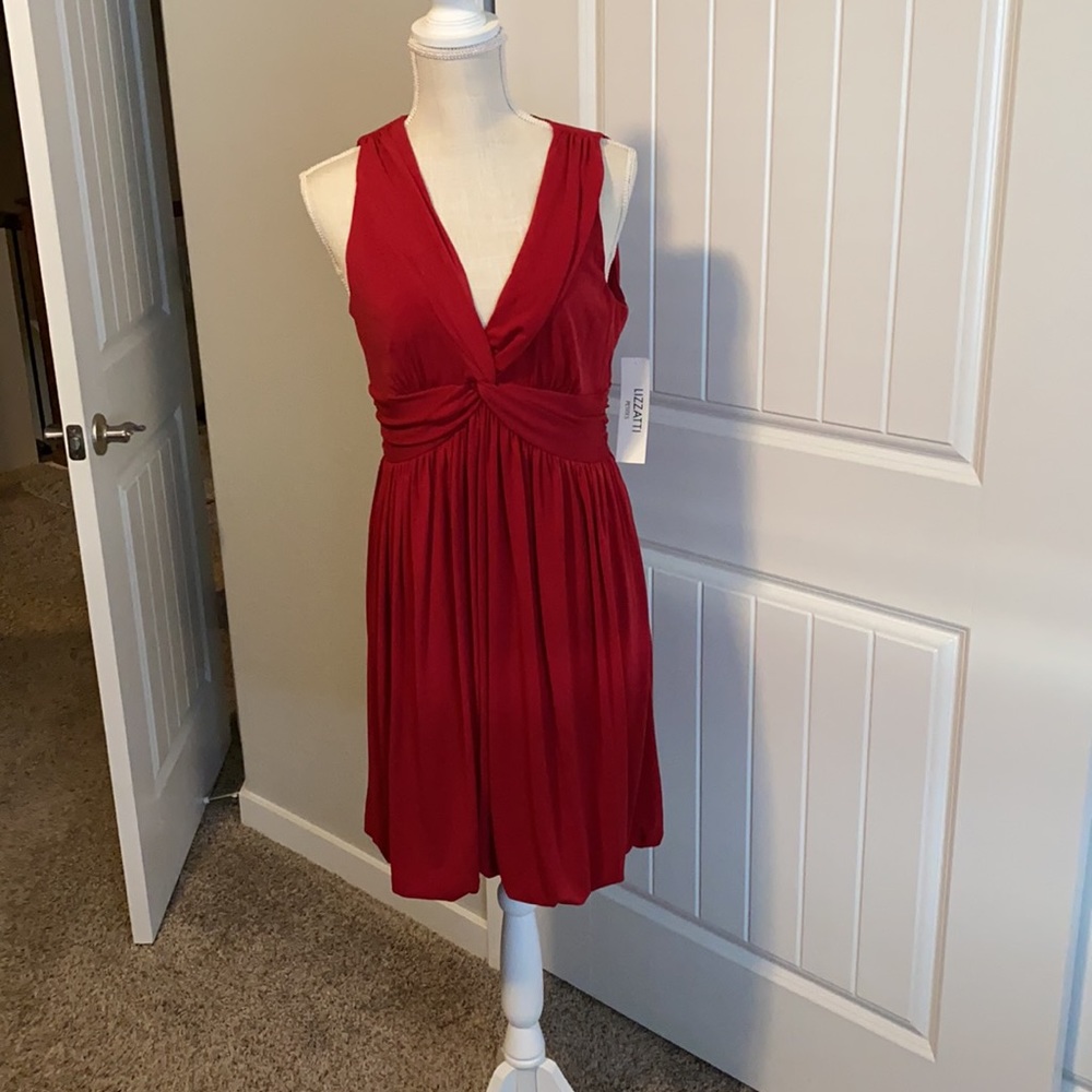 NWT Holiday Dress